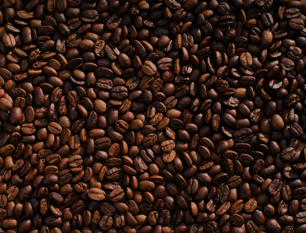 処理前のコーヒー豆